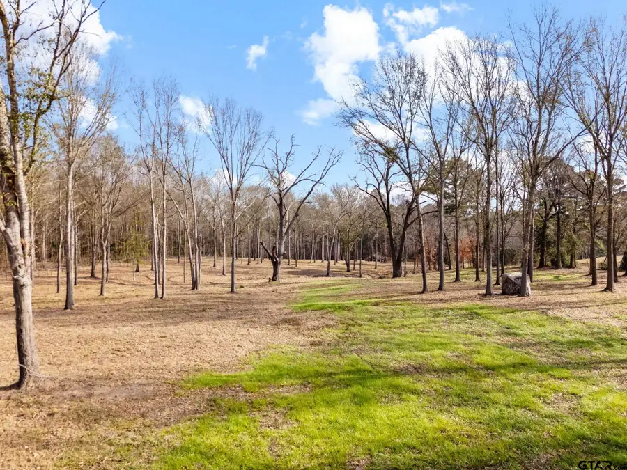 TBD S CR 246, Arp, TX 75750 - Image #2