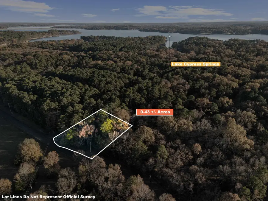 TBD Fawns Crossing, Mount Vernon, TX 75457 - Image #2