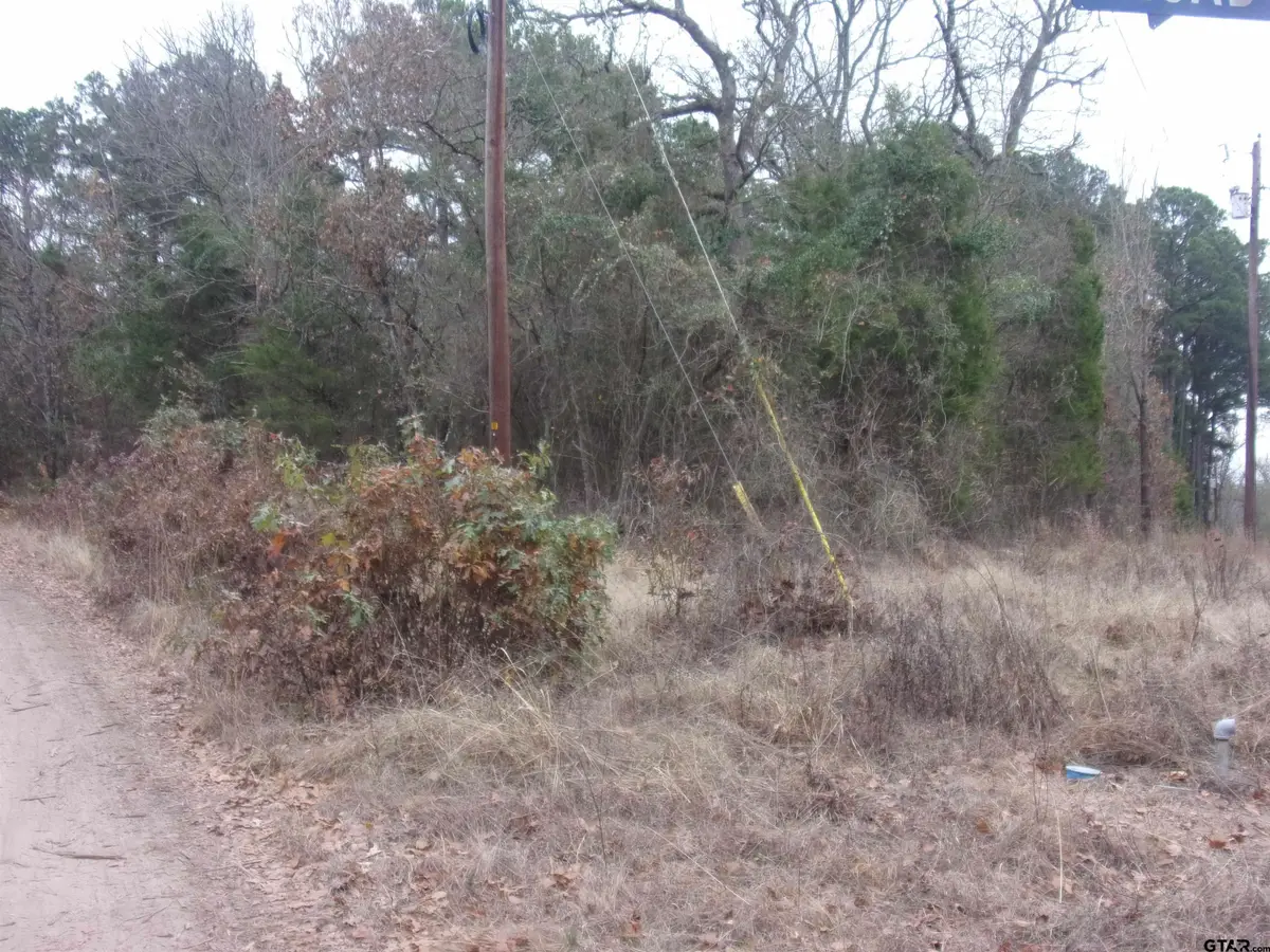 000 Briar Valley, Murchison, TX 75778 - #1