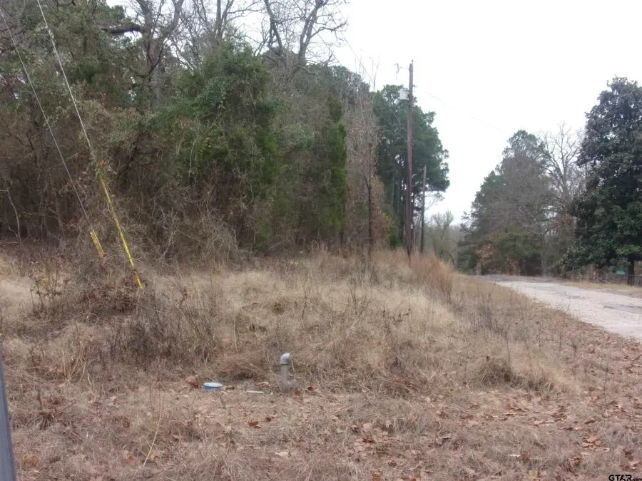 000 Briar Valley, Murchison, TX 75778 - #2