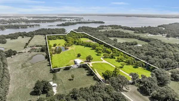 365 County Road 1534, Alba, TX 75410