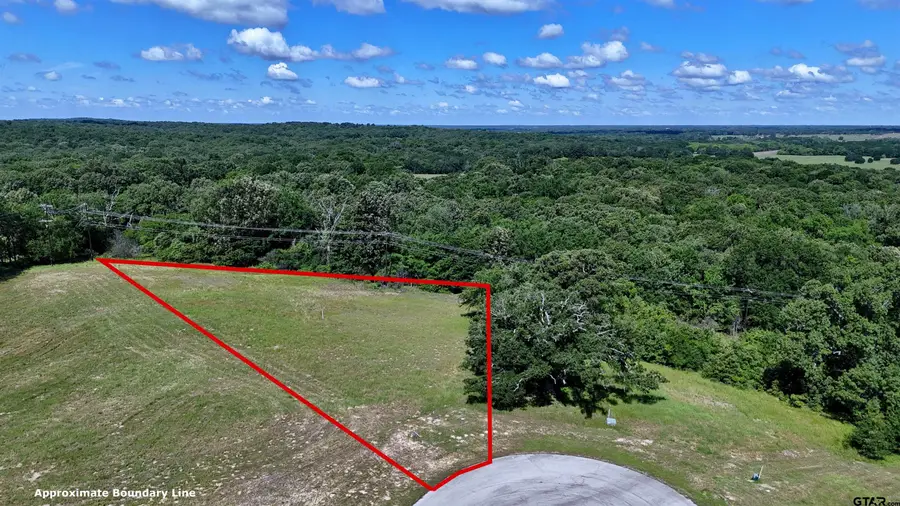 Lot 262 High Point Ct, Athens, TX 75752 - #3