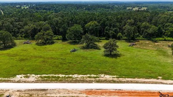 Lot 10 Windy Lane Drive, Bullard, TX 75757