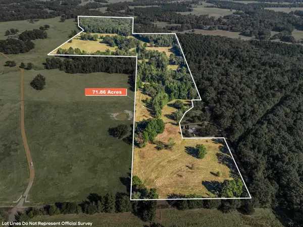 TBD Giraffe Rd, Gilmer, TX 75644