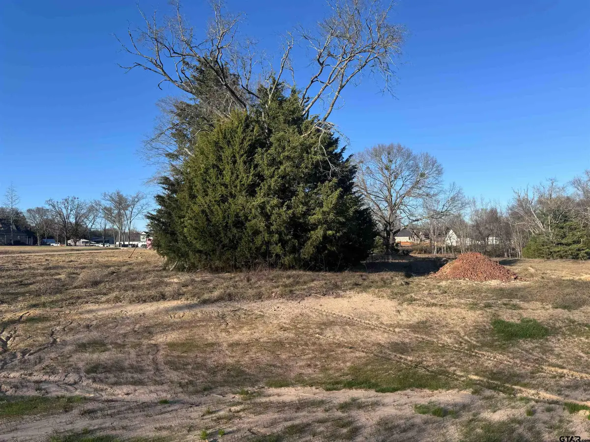 14001 Cedar Hill Lane (Lindale ISD), Tyler, TX 75704 - Image #1