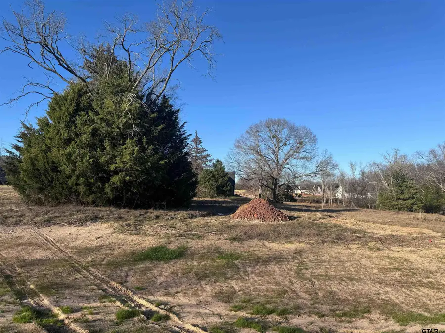 14001 Cedar Hill Lane (Lindale ISD), Tyler, TX 75704 - Image #3