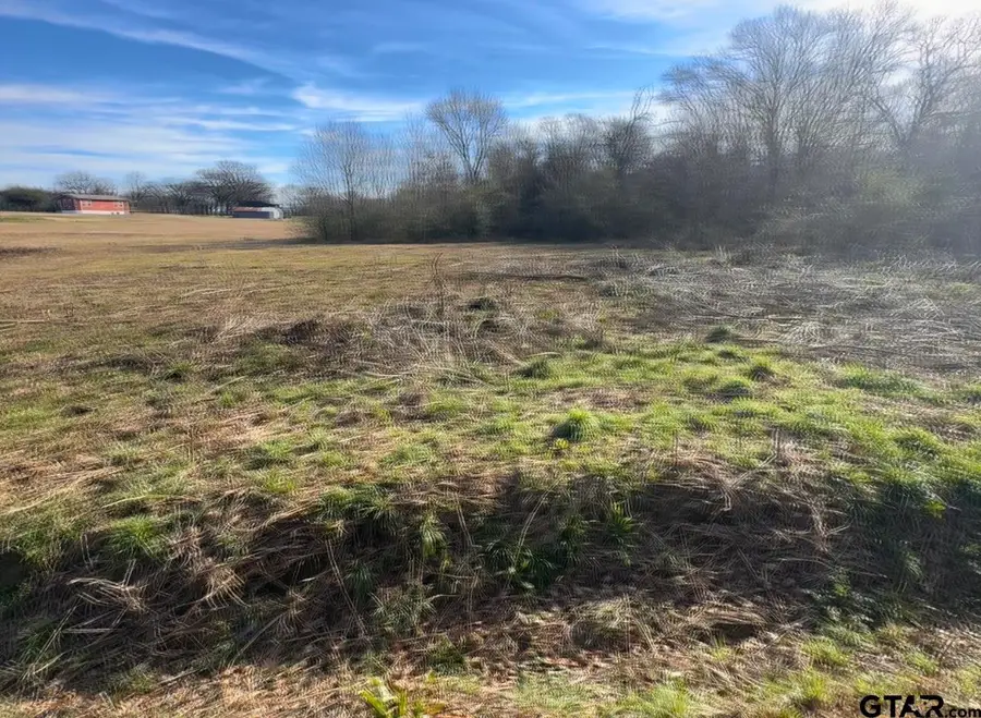 TBD CR 1012, Mount Vernon, TX 75457 - Image #2