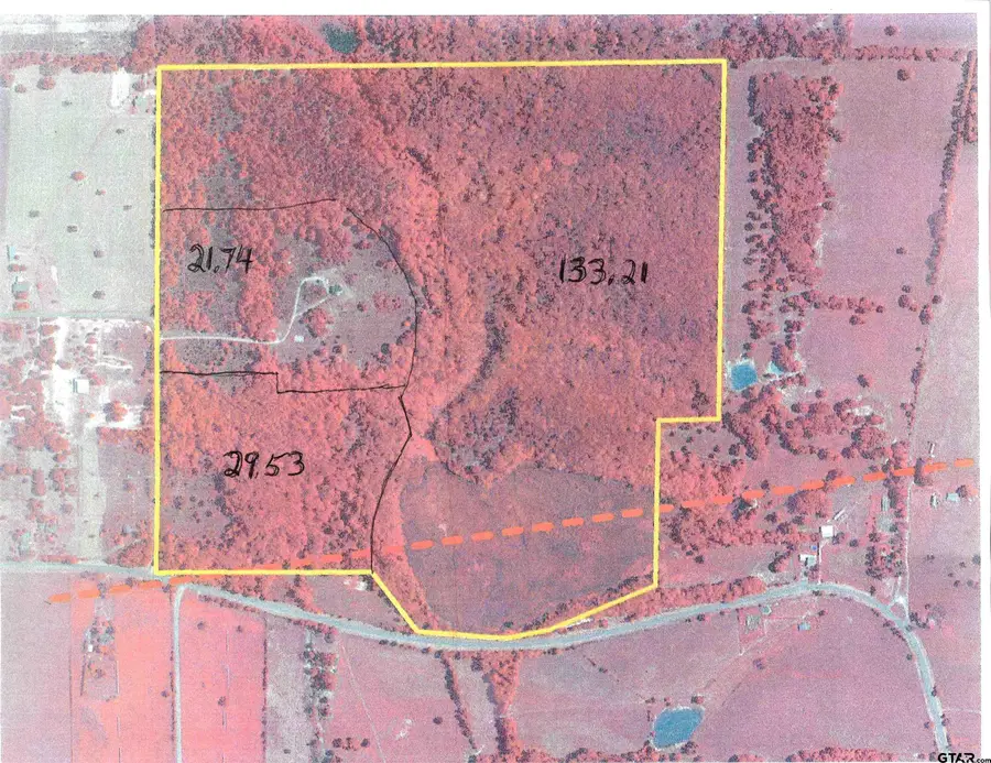 TBD 133+/- acres CR 4701, Ben Wheeler, TX 75754 - Image #2