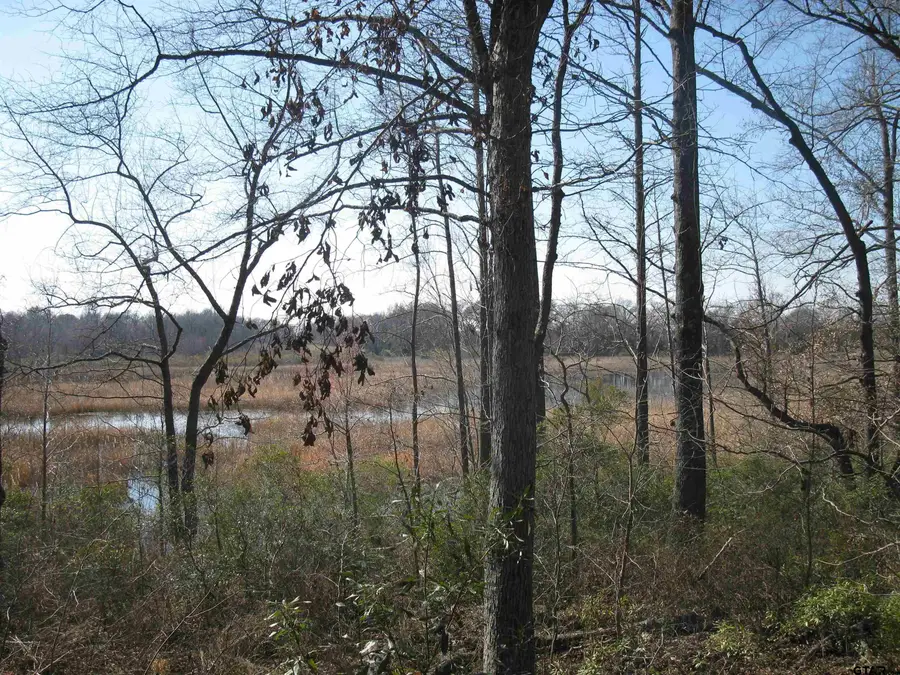 TBD 133+/- acres CR 4701, Ben Wheeler, TX 75754 - Image #3