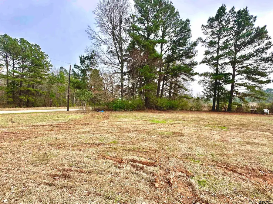 TBD CR 2154, Troup, TX 75789 - Image #2