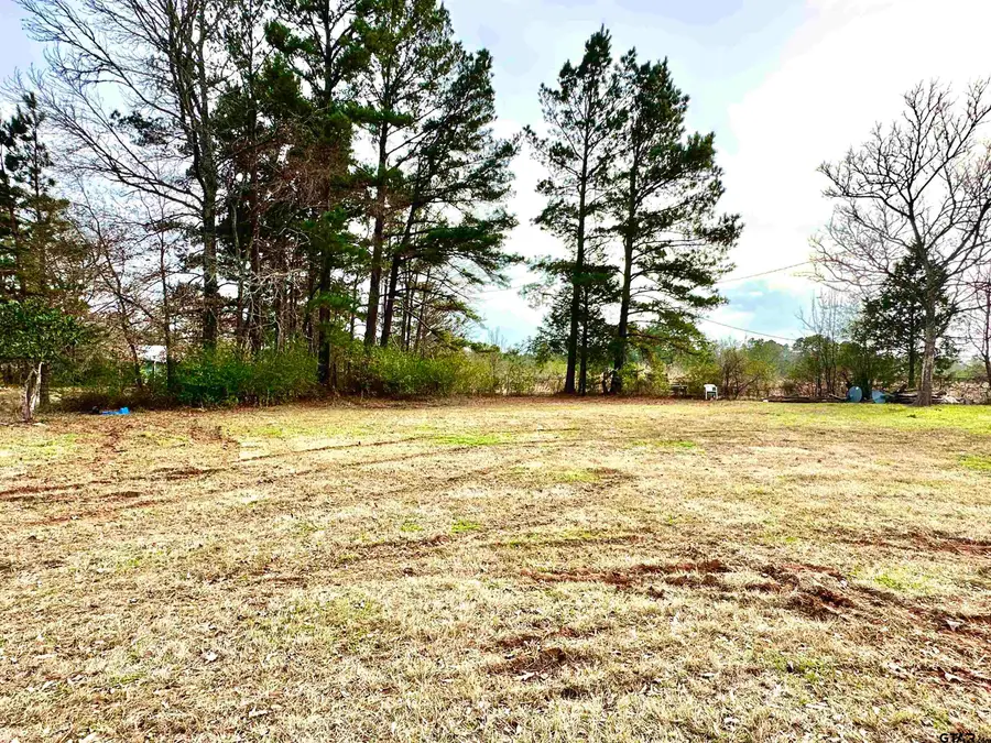 TBD CR 2154, Troup, TX 75789 - Image #3