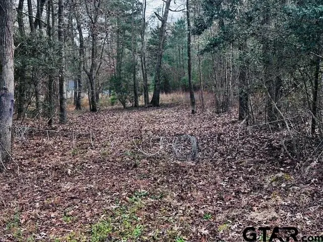 6550 FM 2274 N, Jacksonville, TX 75766 - Image #1