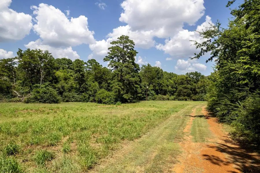 13174 County Road 434, Lindale, TX 75771 - Image #3