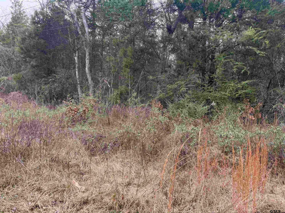 1150 Brazos, Bullard, TX 75757 - Image #1