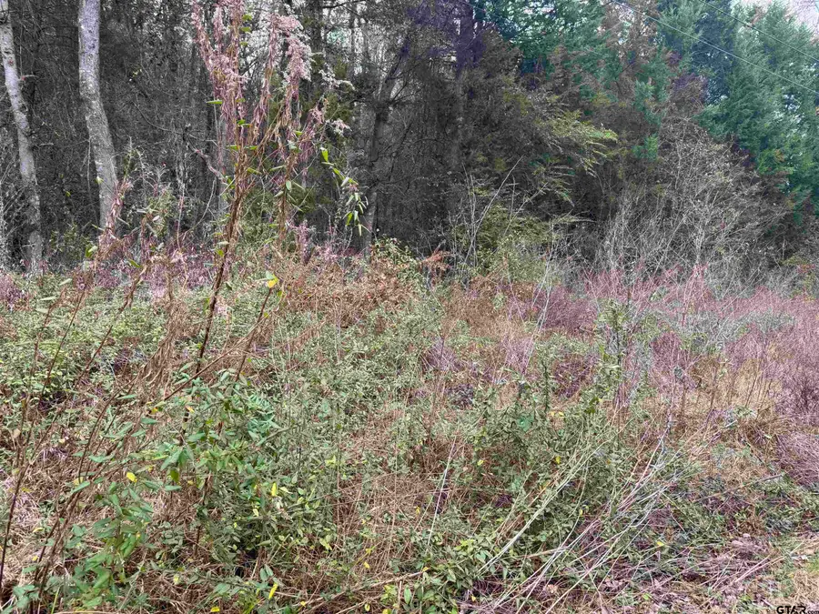 1150 Brazos, Bullard, TX 75757 - Image #2