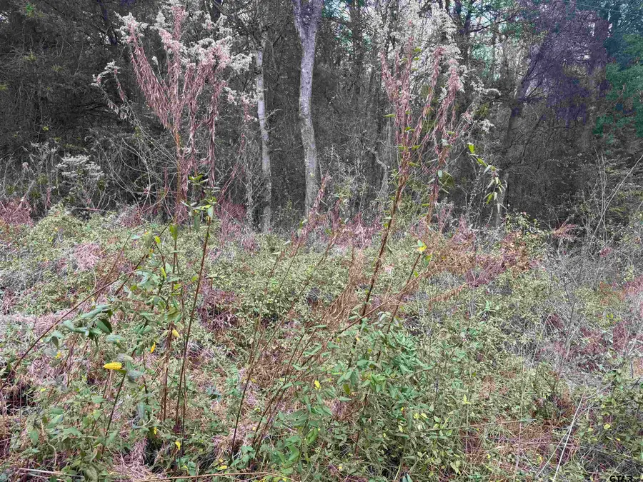 1150 Brazos, Bullard, TX 75757 - Image #3