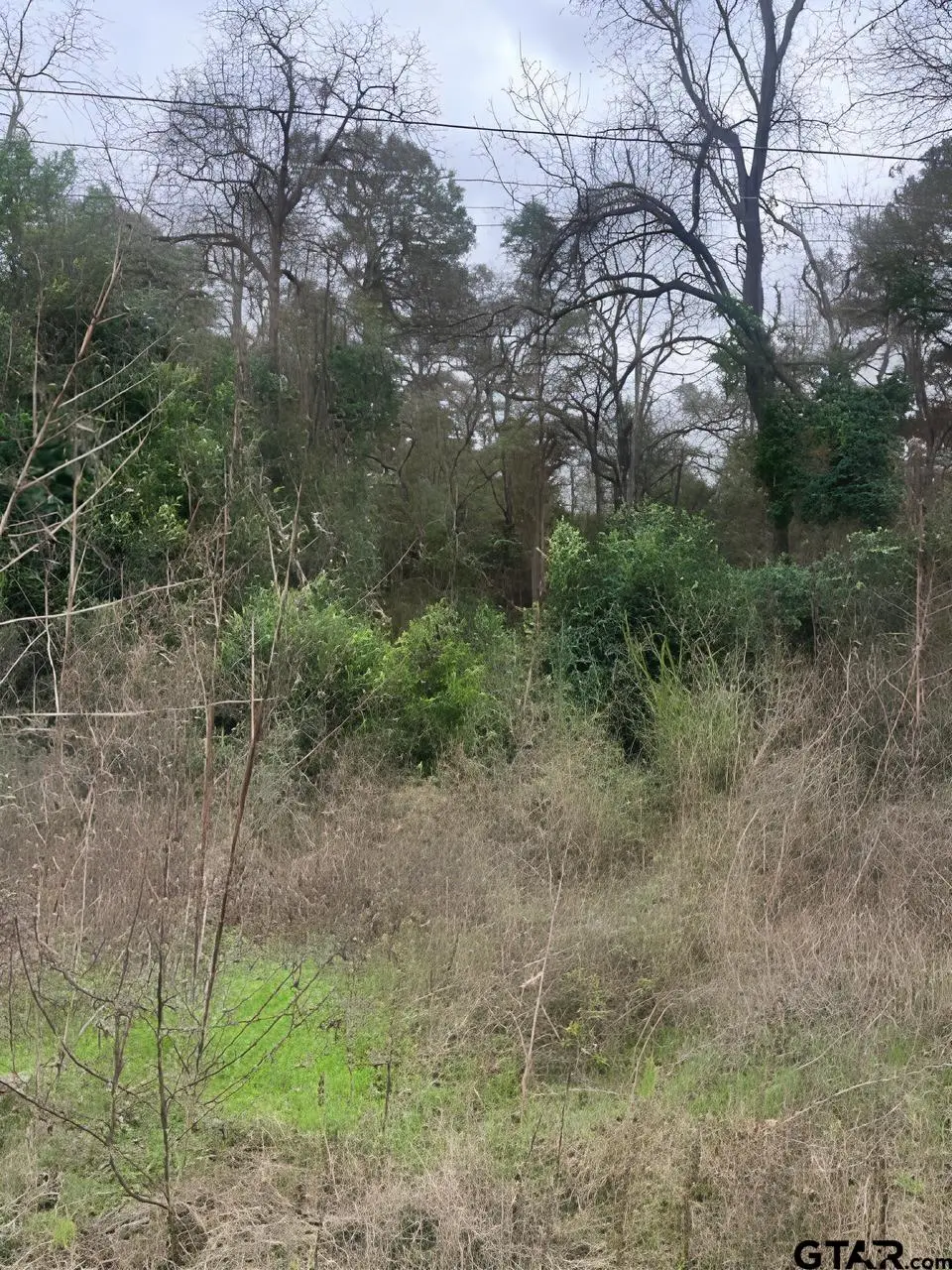 22781 Dogwood Trail, Flint, TX 75762 - Image #1