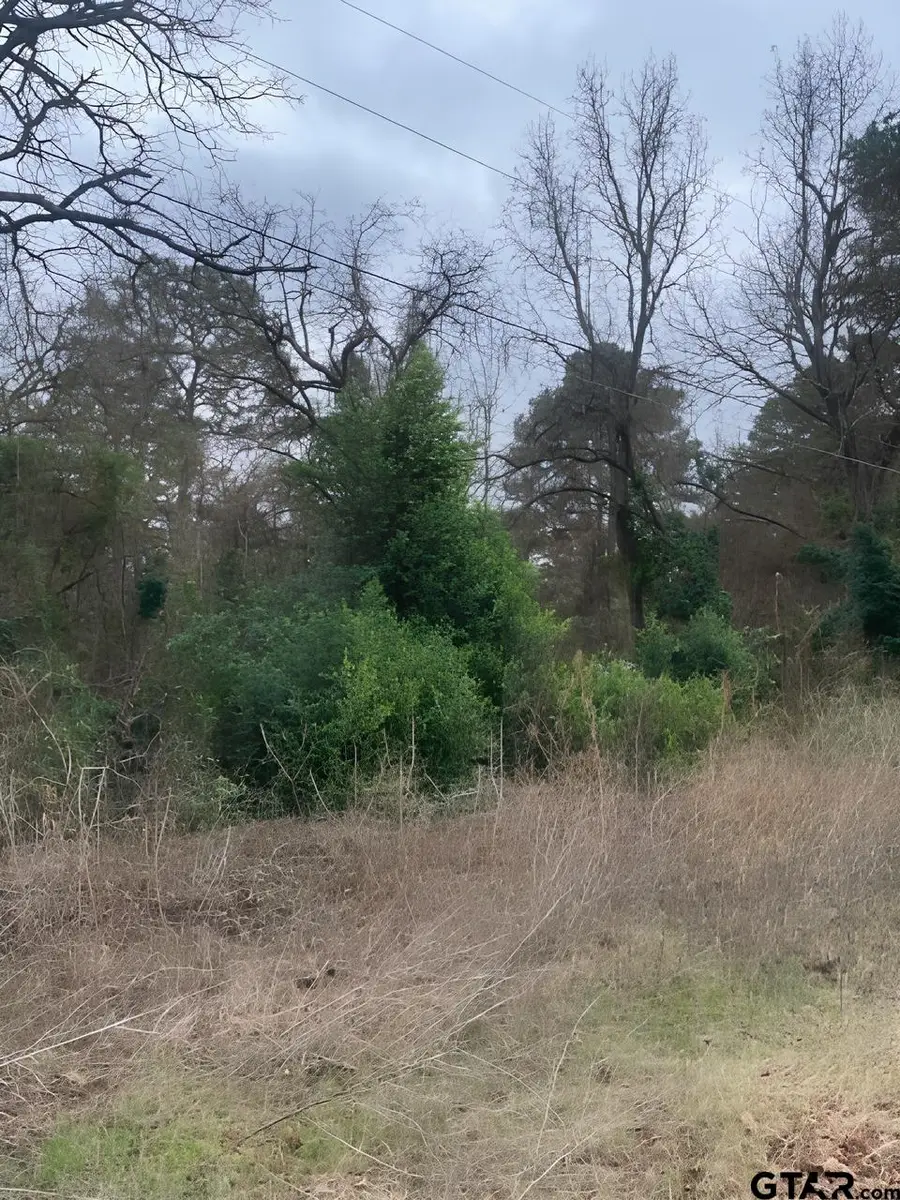 22781 Dogwood Trail, Flint, TX 75762 - Image #2