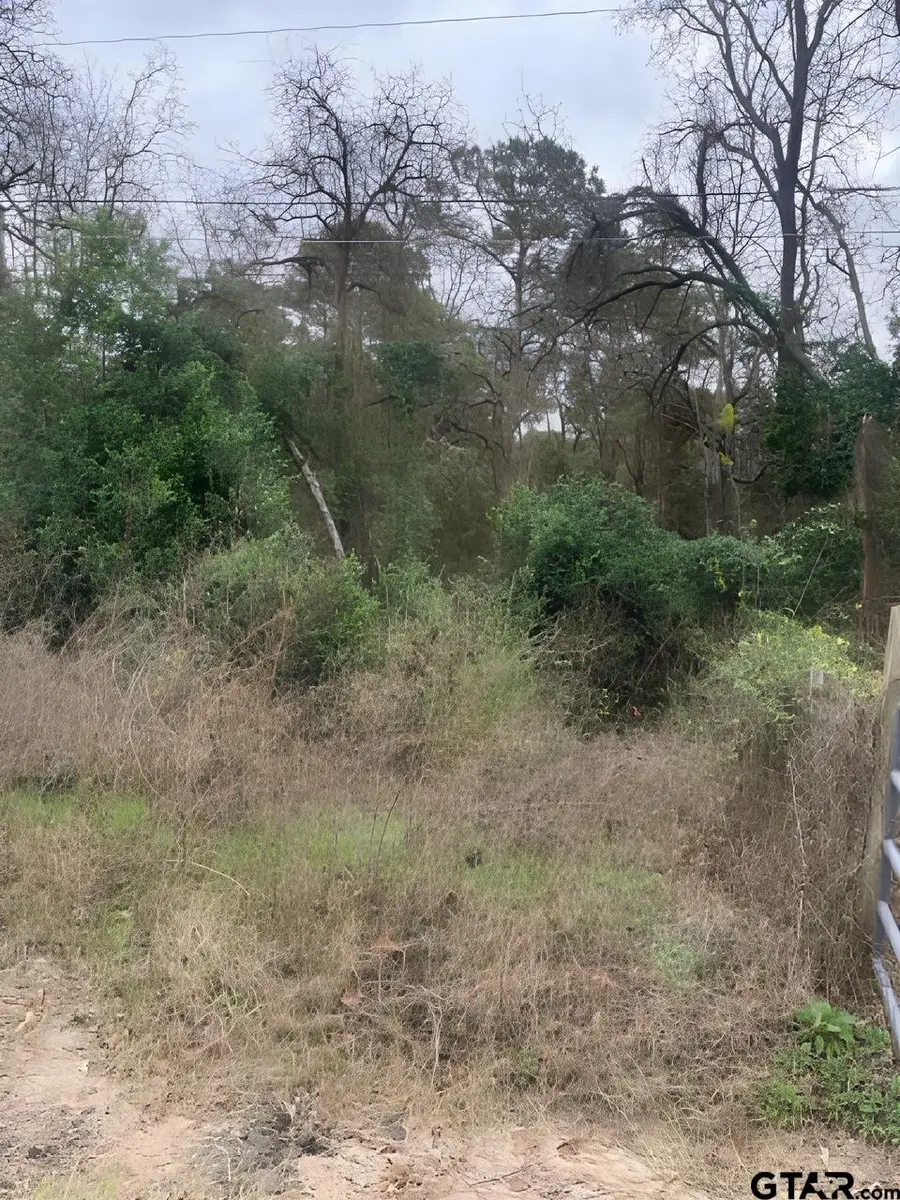 22781 Dogwood Trail, Flint, TX 75762 - Image #3