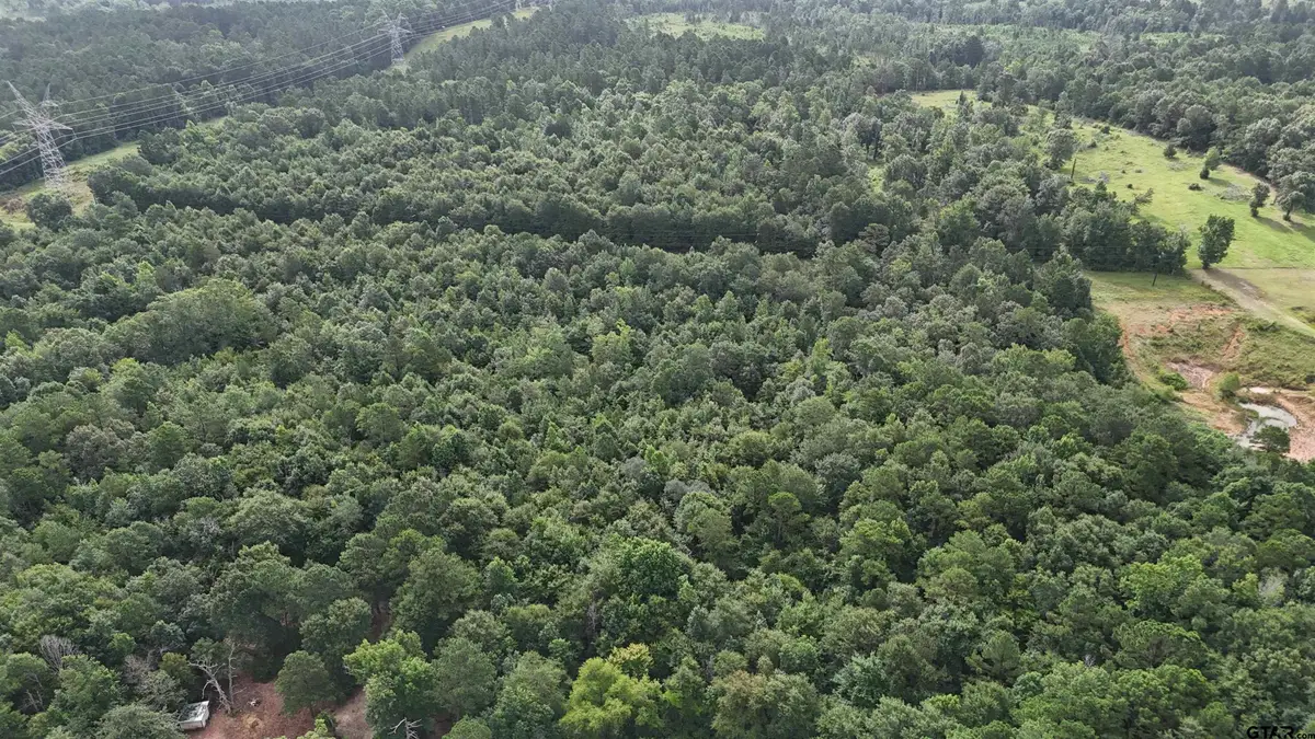 TBD Highway 135 S, Overton, TX 75684 - Image #1