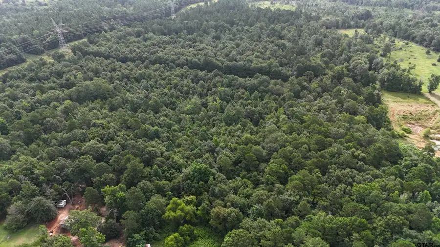 TBD Highway 135 S, Overton, TX 75684 - Image #3