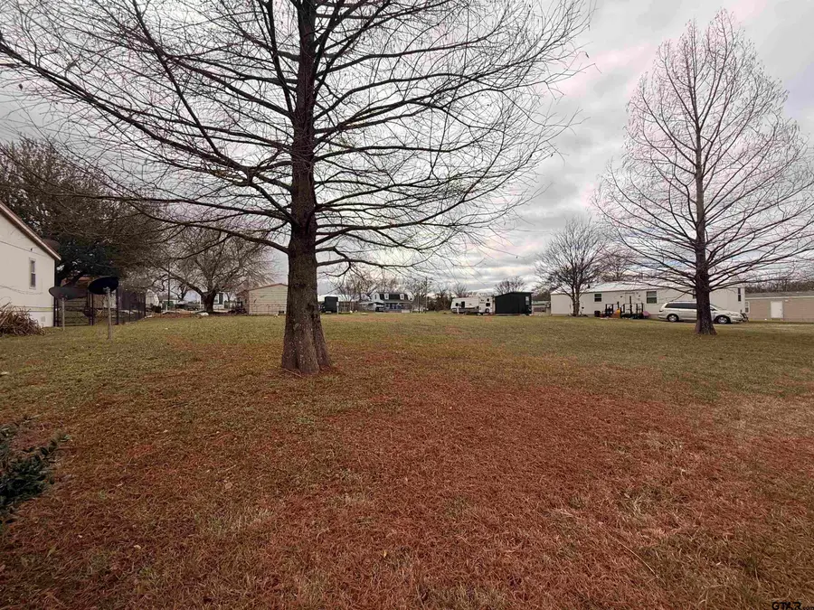 0000 Holiday Village Dr lots 93 and 94, Quitman, TX 75783 - Image #2