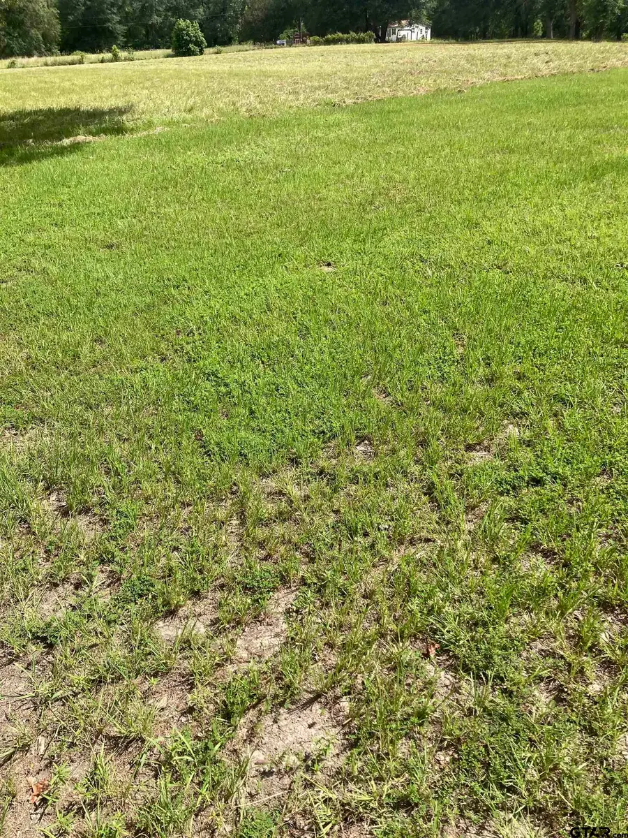 14350 CR 426, Lindale, TX 75771 - Image #3