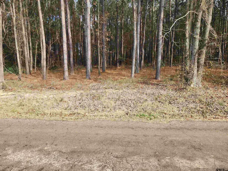 TBD CR 4313, Pittsburg, TX 75686 - Image #2