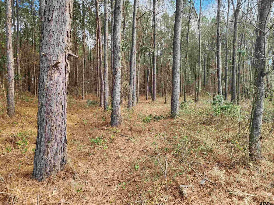 TBD CR 4313, Pittsburg, TX 75686 - Image #3
