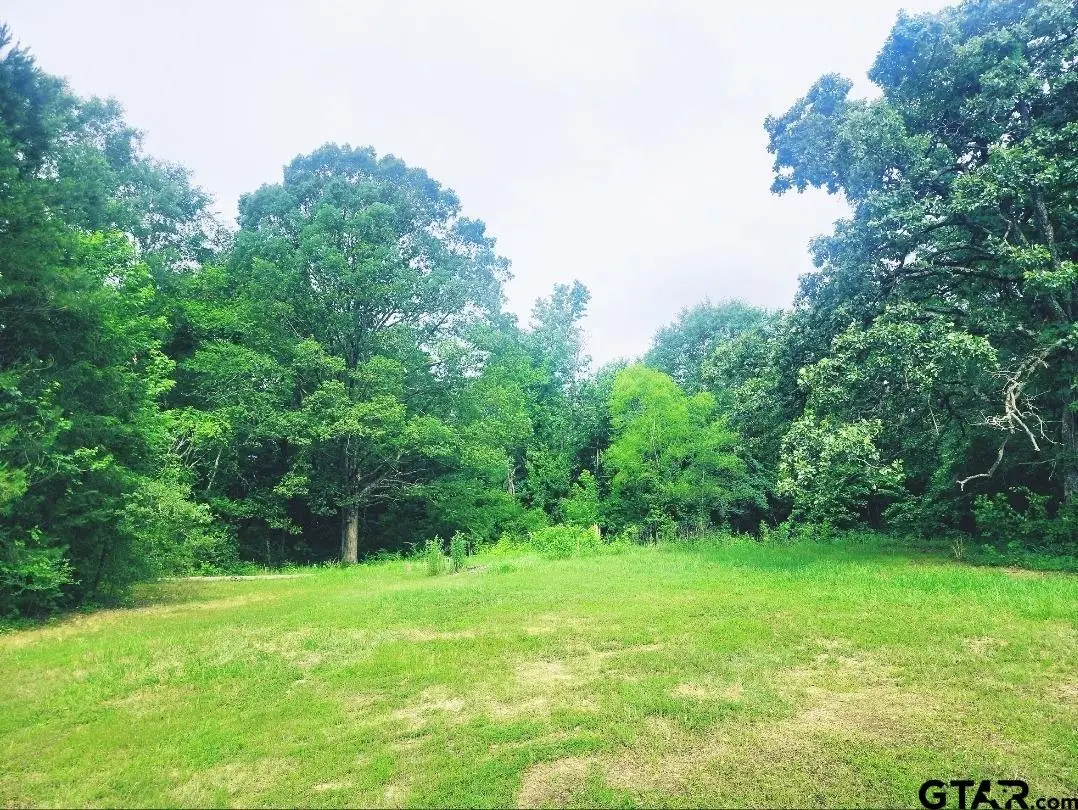 22473 FM 2208, Harleton, TX 75651 - Image #1