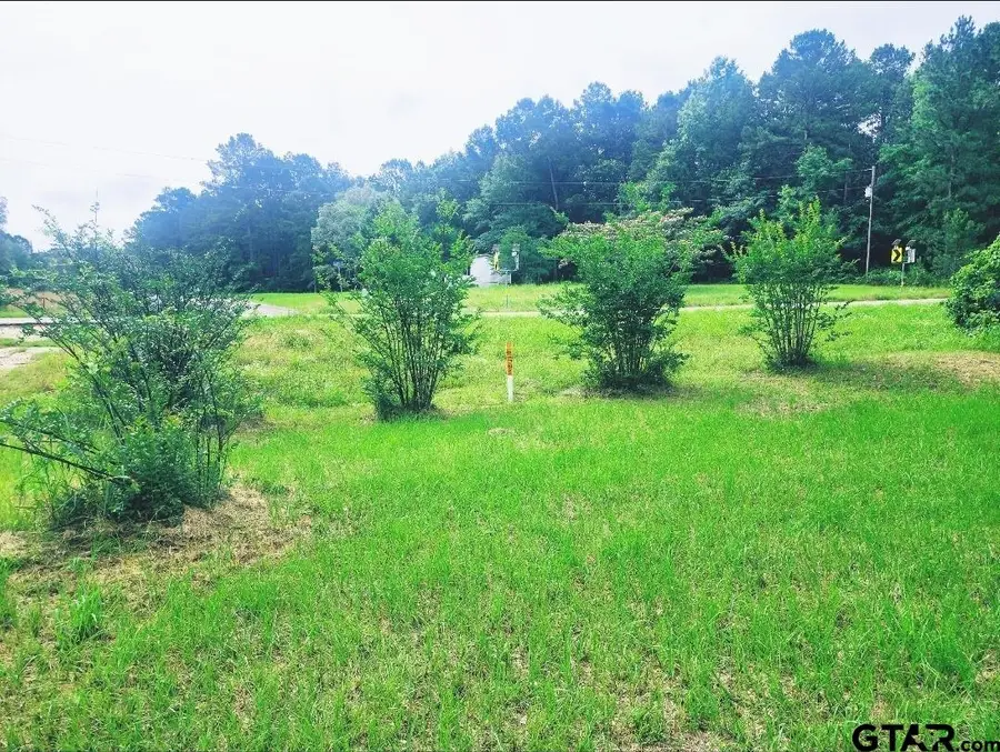 22473 FM 2208, Harleton, TX 75651 - Image #2