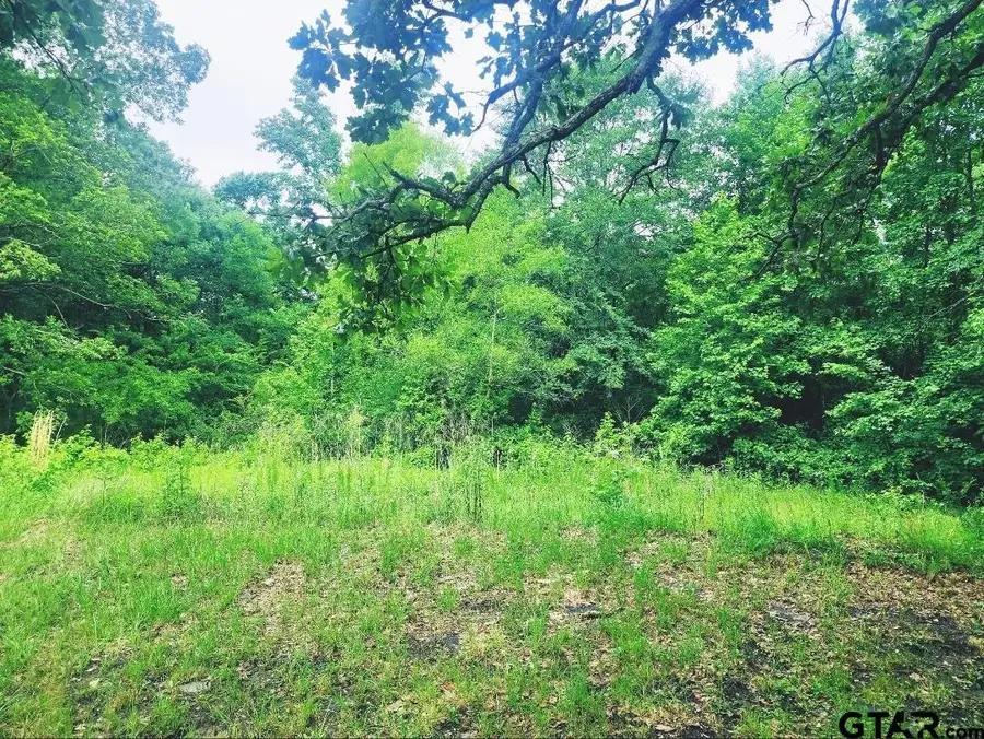 22473 FM 2208, Harleton, TX 75651 - Image #3