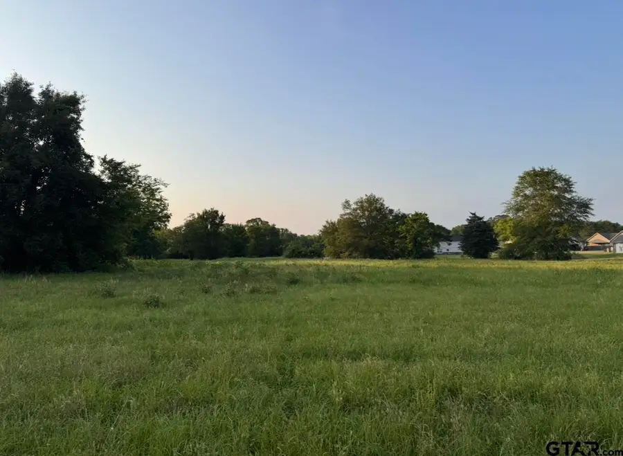 TBD Billy Daniel St, Mount Pleasant, TX 75455 - Image #2