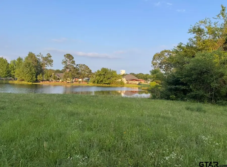 TBD Billy Daniel St, Mount Pleasant, TX 75455 - Image #3