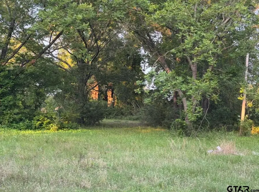 TBD Billy Daniel St, Mount Pleasant, TX 75455 - Image #2