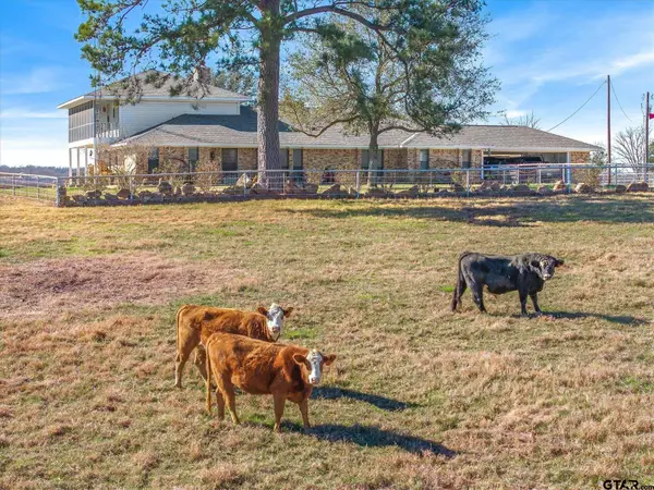 1700 Fm 1995, Van, TX 75790