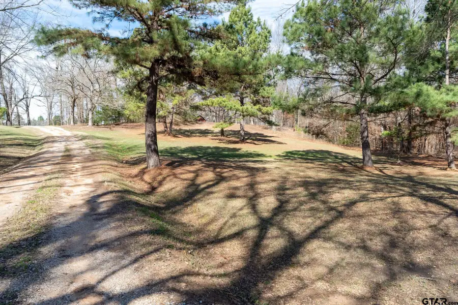 15857 County Road 384, Tyler, TX 75708 - Image #2