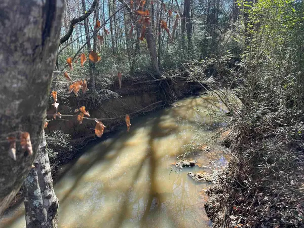 TBD SH 21 East, Alto, TX 75925