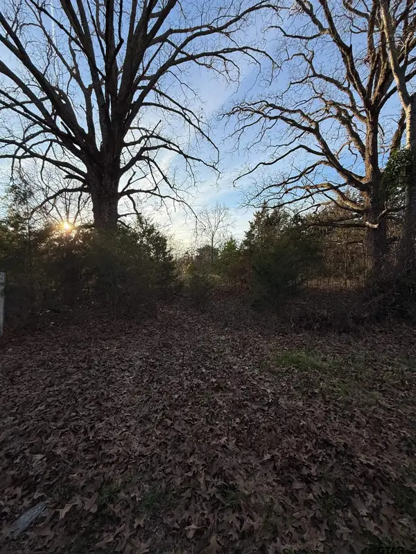 TBD County Road 4950, Pittsburg, TX 75686