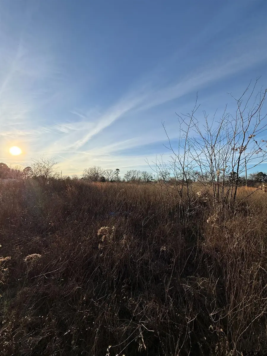 TBD County Road 4950, Pittsburg, TX 75686 - Image #2