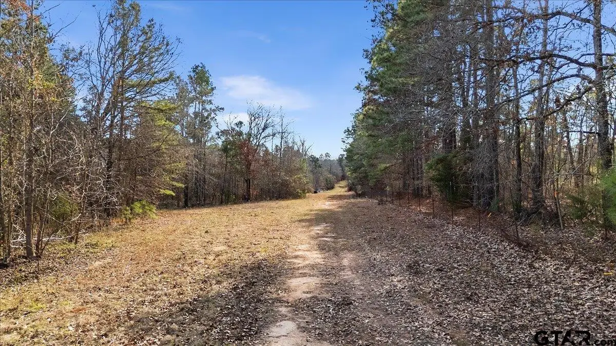 TBD HIGHWAY 135, Troup, TX 75789 - Image #1