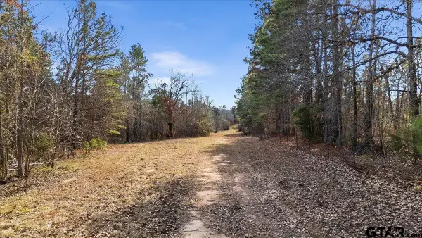 TBD HIGHWAY 135, Troup, TX 75789