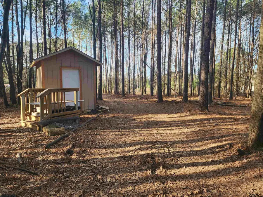 TBD CR 4313 lot 6, Pittsburg, TX 75686 - Image #2