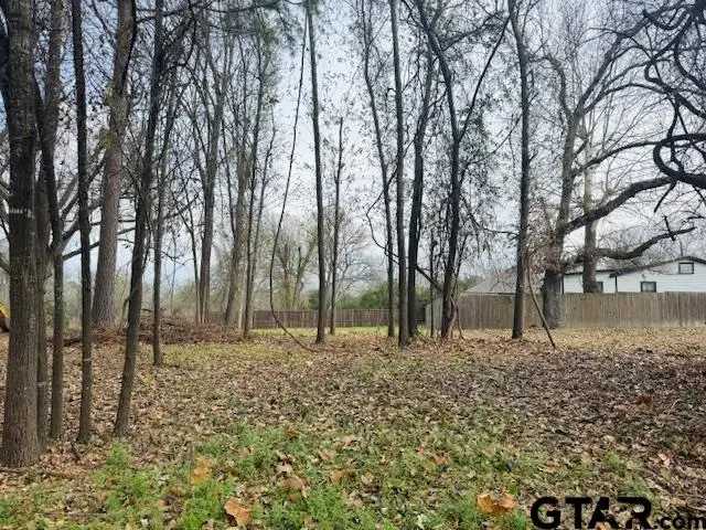 1002 N Hamlett St., Athens, TX 75751 - Image #1