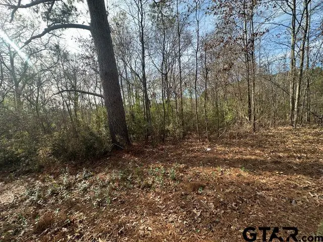 TBD CR 286, Garrison, TX 75946 - Image #3