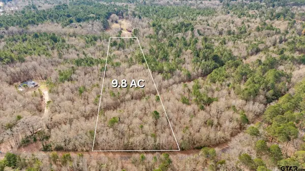 TBD CR 3460, Hawkins, TX 75765