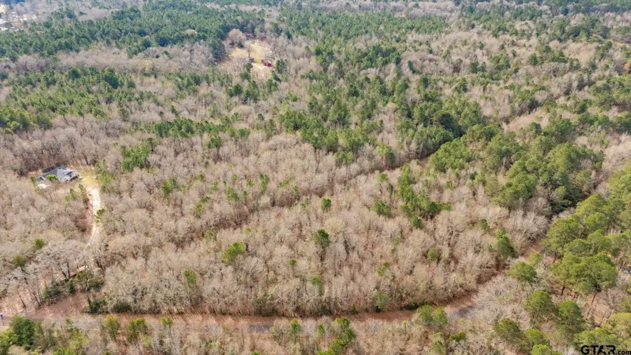 TBD CR 3460, Hawkins, TX 75765 - Image #2