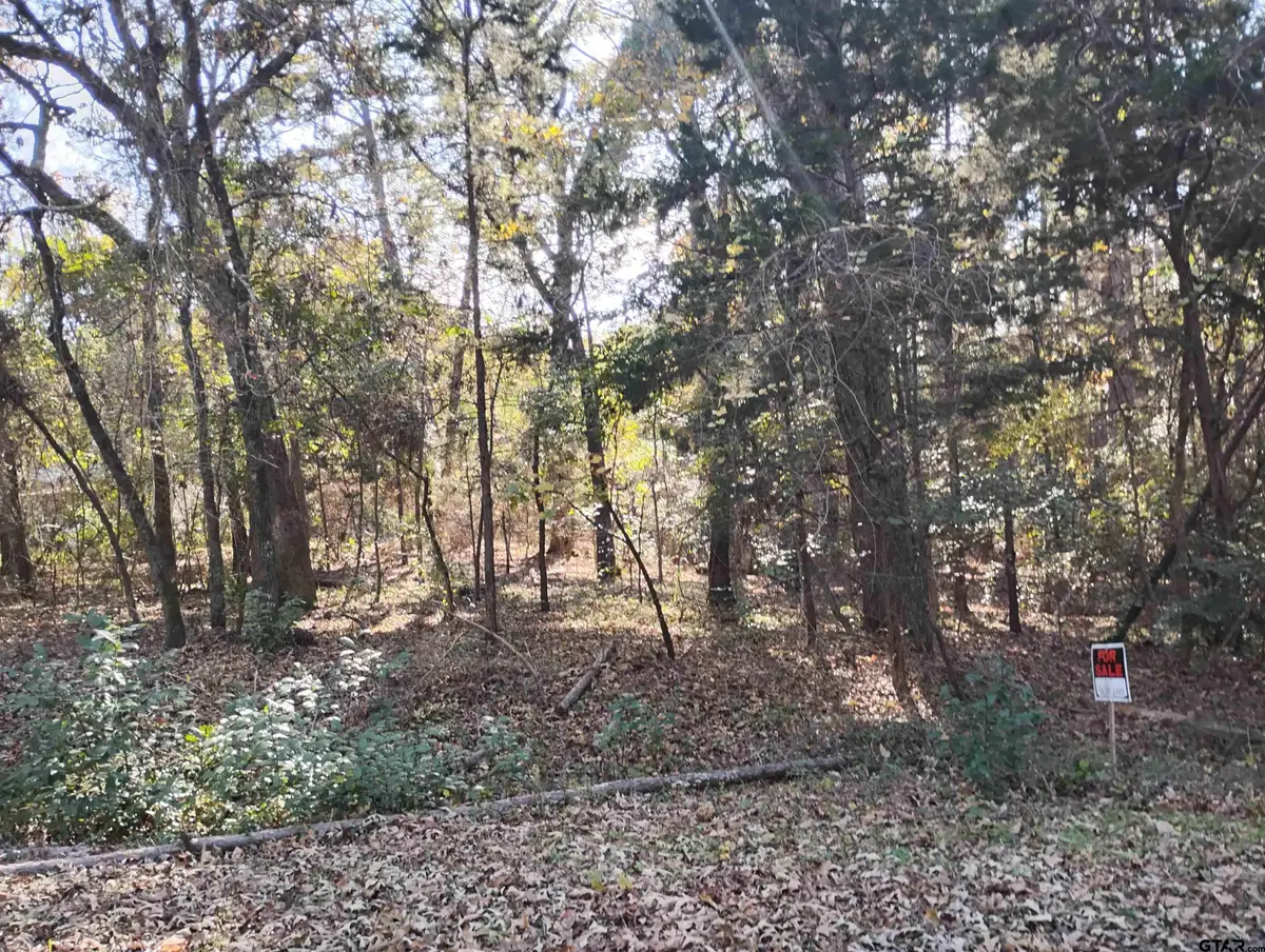 123 Susan Drive, Bullard, TX 75757 - Image #1