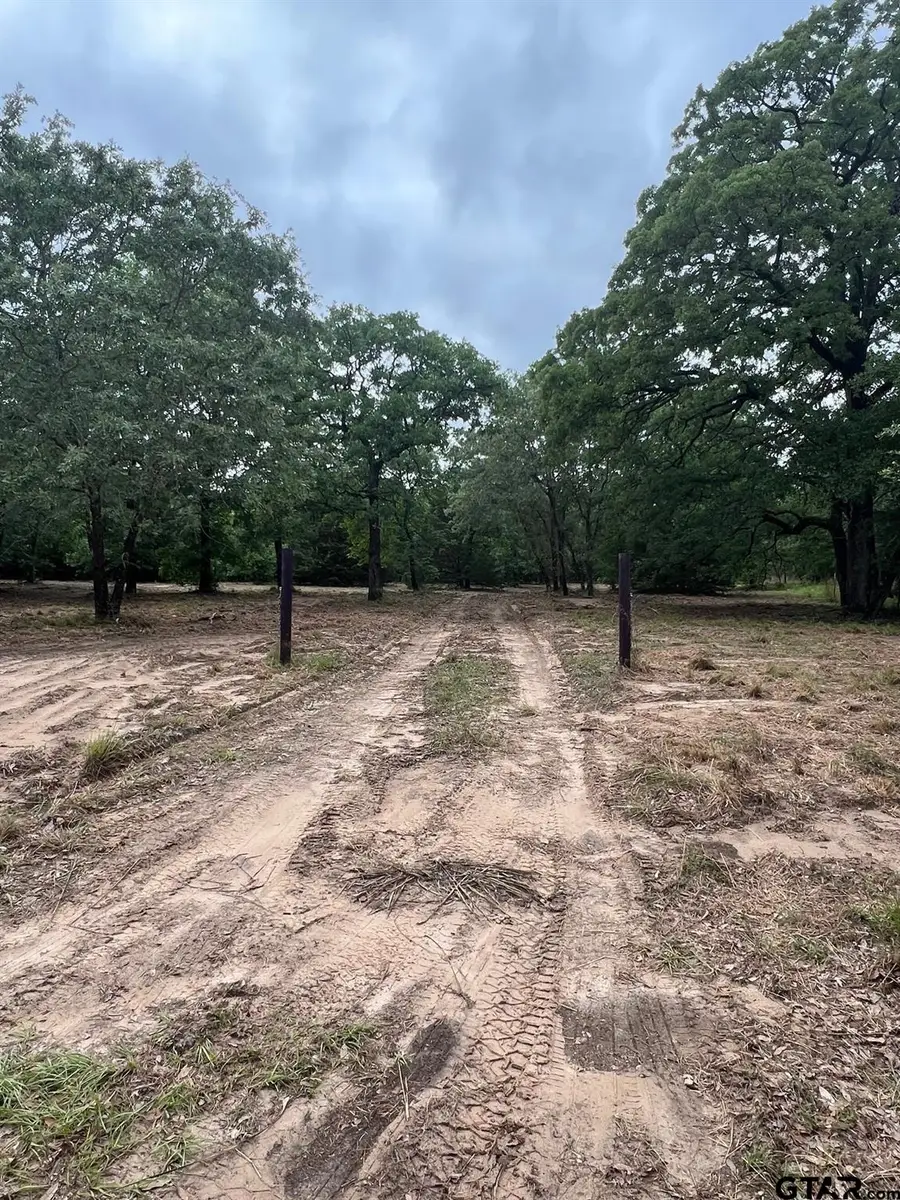 Lot 14 County Road 4801, Athens, TX 75752 - Image #2