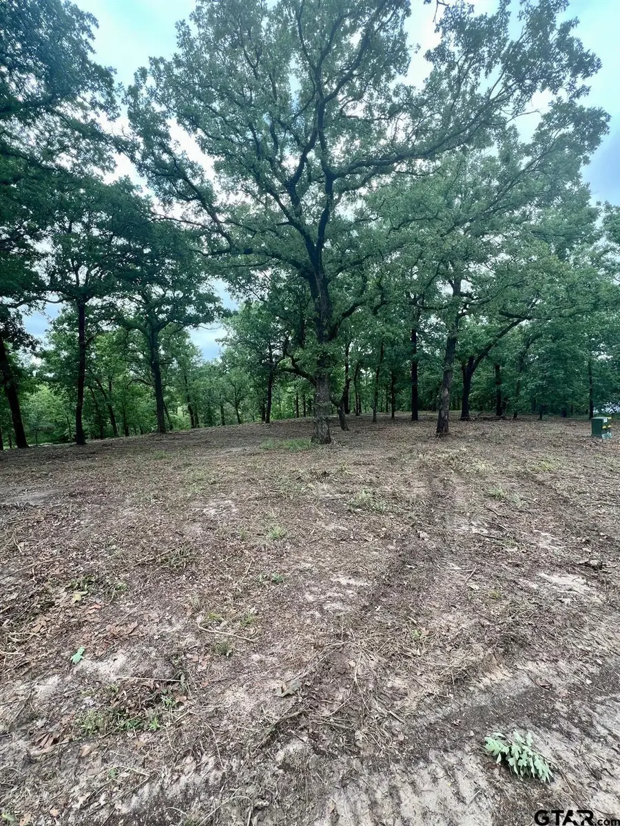 7721 County Road 4801, Athens, TX 75752 - Image #3